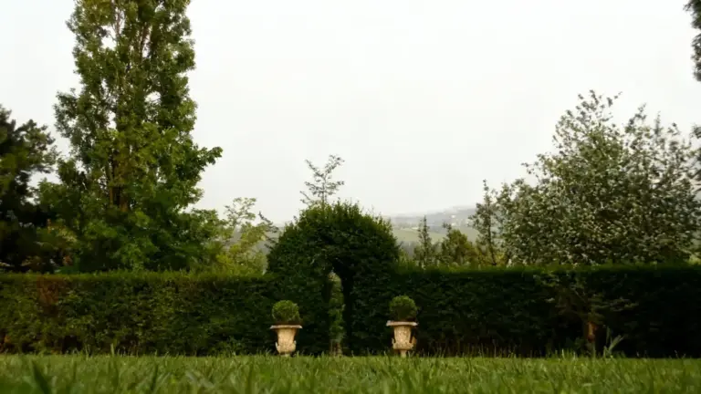 Giardino con siepe potata ad arco e due vasi decorativi in primo piano