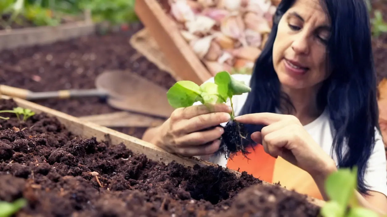 Persona che prepara una piantina per la semina in un orto a febbraio