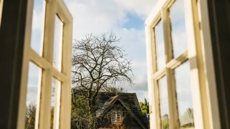 Vista di una finestra aperta con vetri puliti che mostrano una casa e un albero spoglio all'esterno