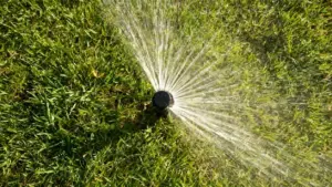 Irrigatore acceso che bagna un prato verde in giardino