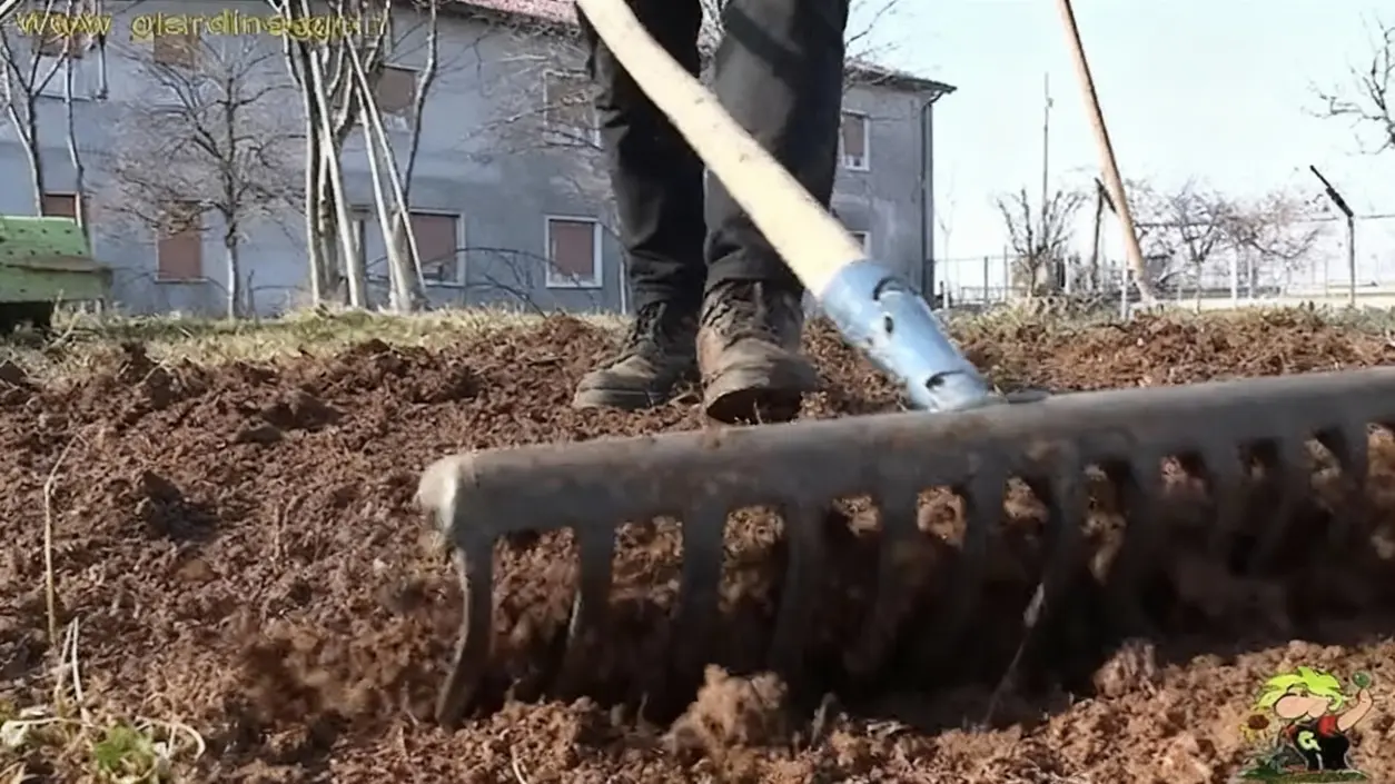 Una persona lavora il terreno con un rastrello in un orto all'aperto