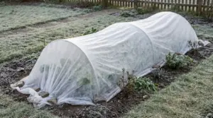 Telo di protezione contro il gelo su un'aiuola in un giardino invernale