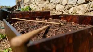 Terreno in una cassa di legno con attrezzi da giardino, visibilmente secco e poco fertile