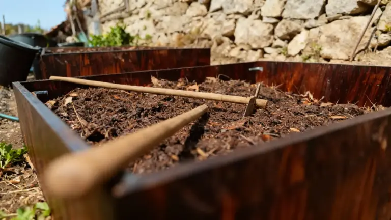 Terreno in una cassa di legno con attrezzi da giardino, visibilmente secco e poco fertile